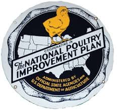 What is NPIP certification for chickens